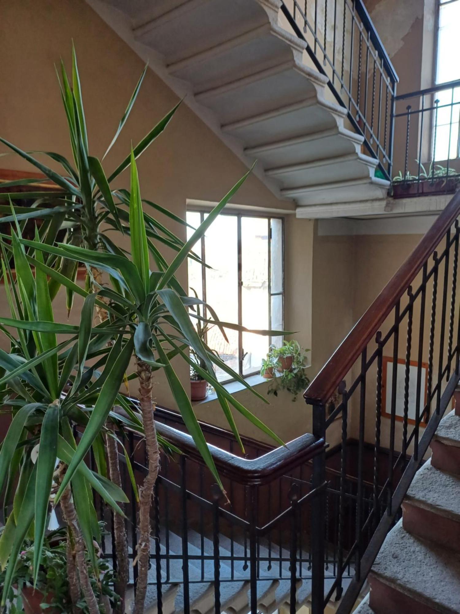 דירות קרמונה Casa Clara מראה חיצוני תמונה